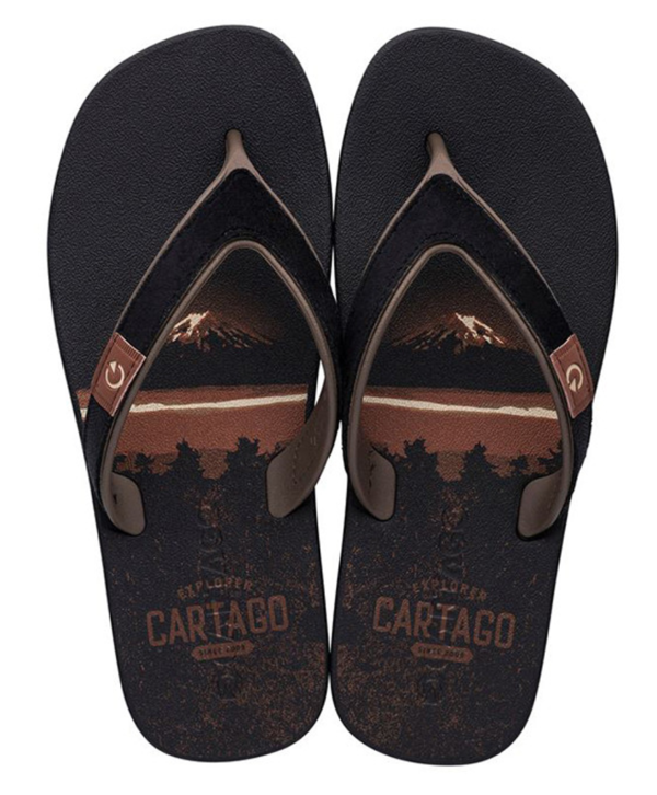 Chinelo Masculino cartago dakar plus ad Grendene 11254 NF