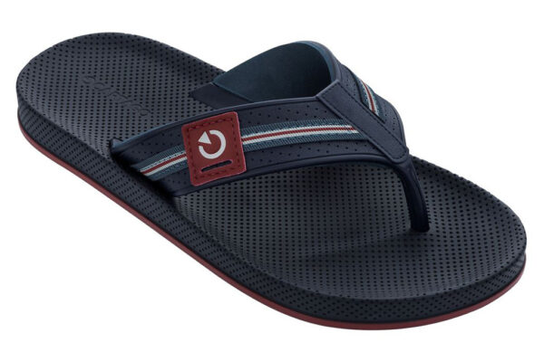 Chinelo Masculino Grendene Cartago Siena Dedo AD 11081 NF